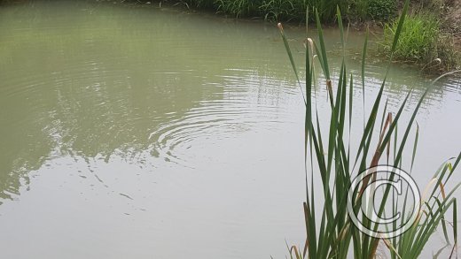 20160604_075958