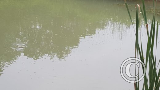 20160604_080012